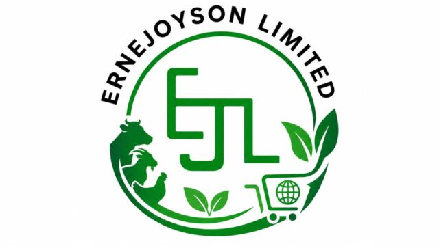 ernejoyson logo